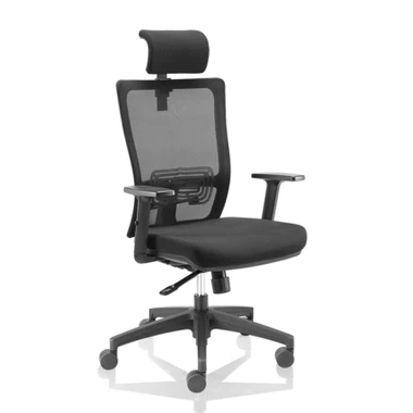 Izvršni Mesh stolica